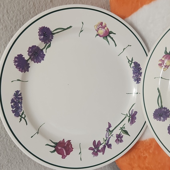 Williams-Sonoma LE JARDIN Salad Plates Portugal 9" Set of 2 - Picture 3 of 6